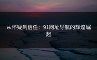 从怀疑到信任：91网址导航的辉煌崛起