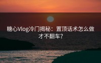 糖心Vlog冷门揭秘：置顶话术怎么做才不翻车？